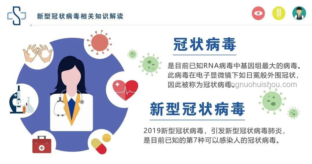 盲肠炎应急处理与预防指南：从陈乔恩案例谈起